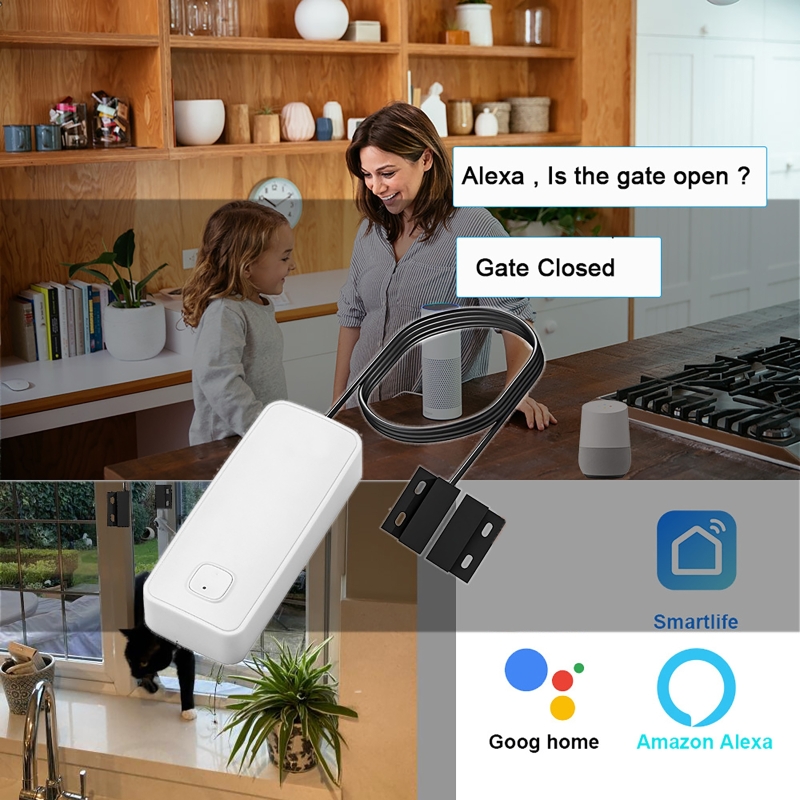 Smart Door Window Magnetic Det - Wireless Door Sensor ulasan dan harga